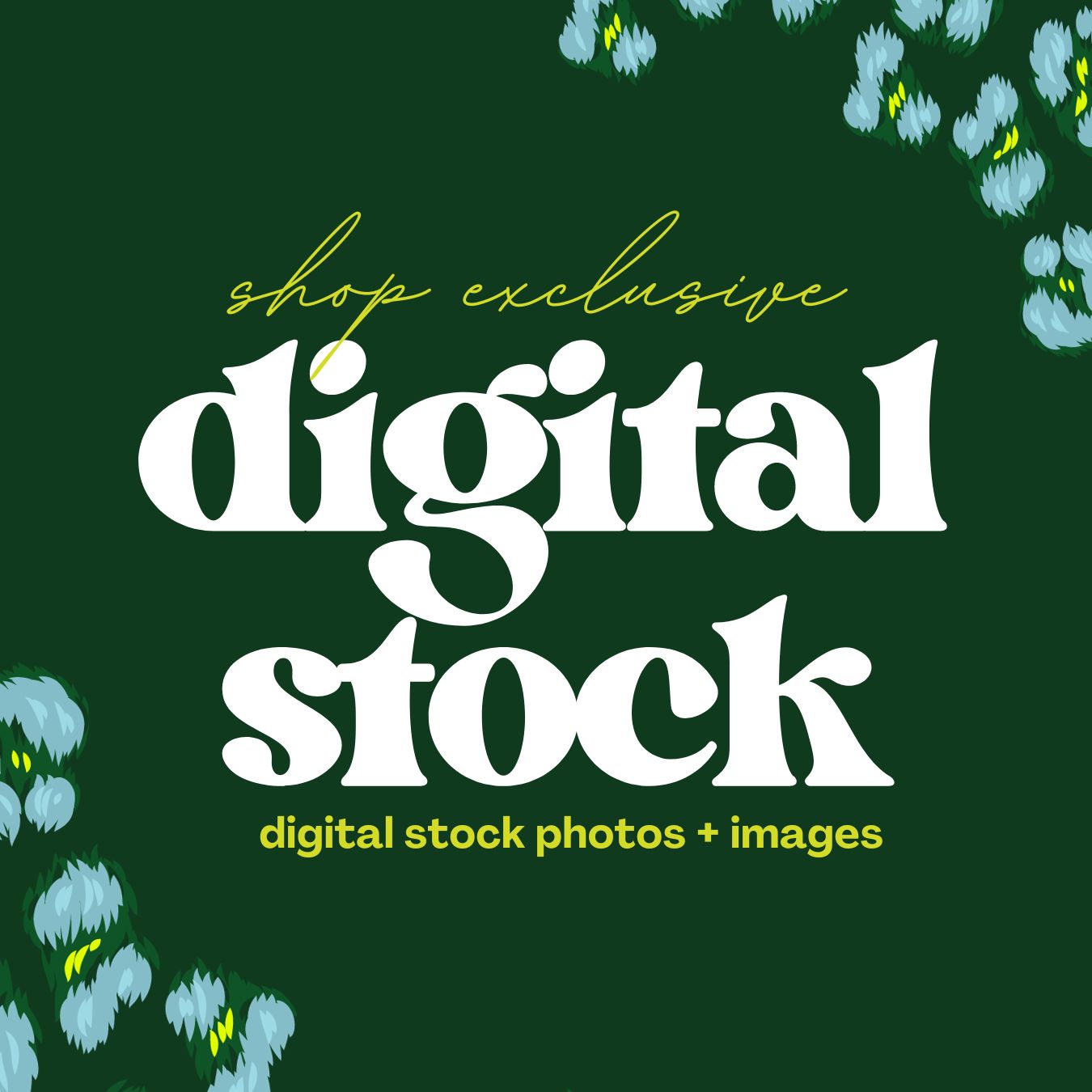 stock digital images/photos